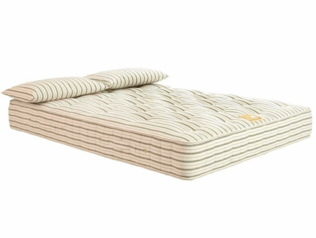 WHITFIELD Backcare Deluxe Mattress